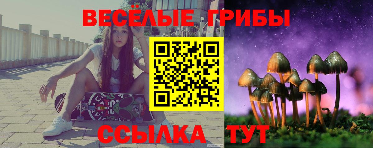 Галлюциногенные грибы Psilocybe  Псилоцибиновые грибы Magic Shrooms  Вход с VPN  Нефтекумск 